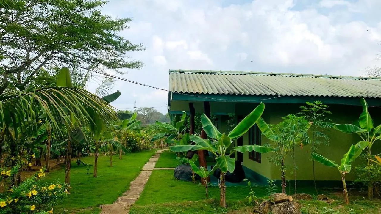 Sigiri Prabha Villa Sigiriya Guest house