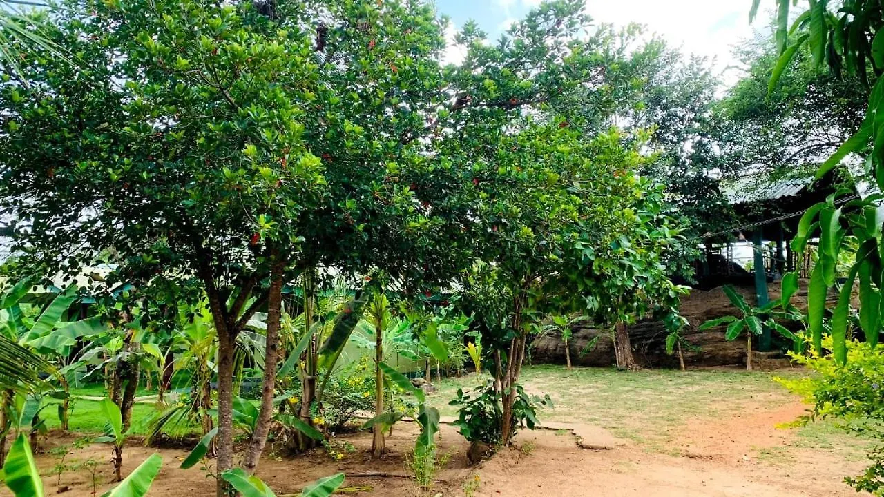 Sigiri Prabha Villa Sigiriya Sri Lanka
